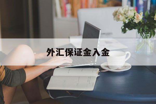 外汇保证金入金(外汇保证金入金怎么做账)